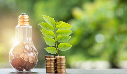 Money, light bulb, and plant on wooden table symbolizing energy efficiency and home improvements.